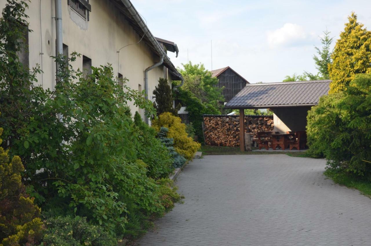 Penzion U Konicka Straziste  Exterior photo